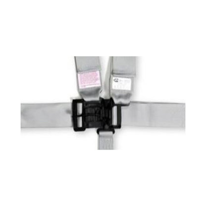 RaceQuip Platinum L & L 5pt Seat Belt