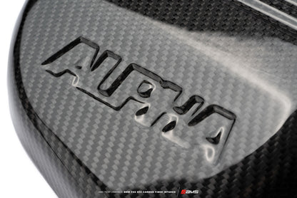 AMS Performance 15-18 BMW M3 / 15-20 BMW M4 w/ S55 3.0L Turbo Engine Carbon Fiber Intake