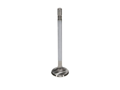 Manley 99-12 Ford 4.6L/281 5.4L/330 V8 37mm Race Series Stainless Steel Intake Valve - Single