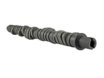 Skunk2 Tuner Series D-Series Honda Stage 4 Camshaft