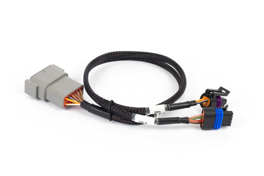 Haltech NEXUS Rebel LS Cable Throttle & IAC Sub-Harness (Plug-n-Play w/HT-186500)