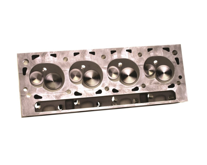 Ford Racing Super Cobra Jet Cylinder Head - BarE