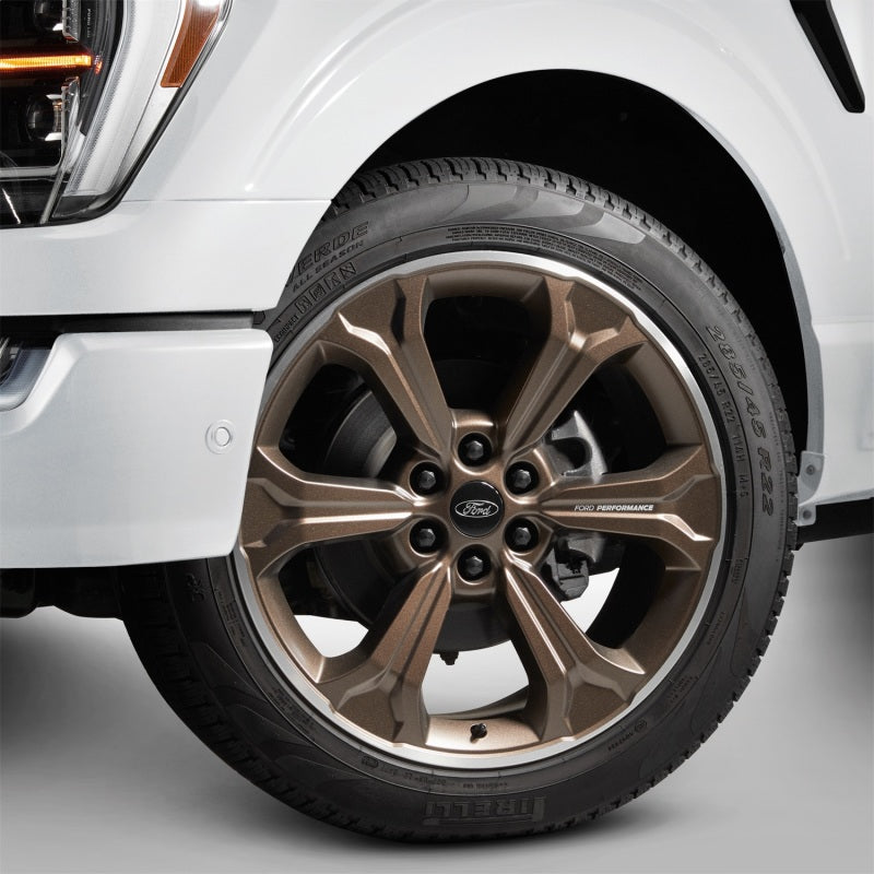 Ford Racing 15-23 F-150 22in Wheel Kit - Sinister Bronze