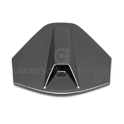 Anderson Composites 20-21 Chevrolet Corvette C8 OE Carbon Fiber Decklid Housing (w/ Backup Camera)