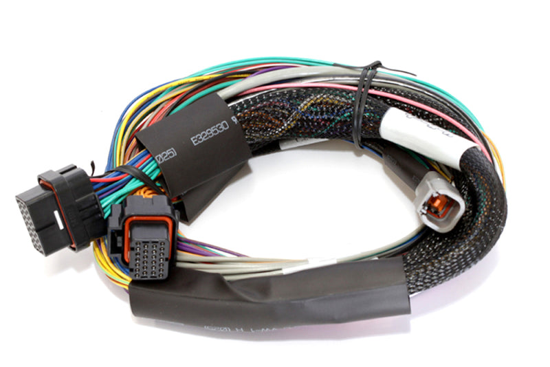 Haltech Elite 1500 Basic Universal Wire-In Harness w/o Relays or Fuses - 2.5m (8ft)